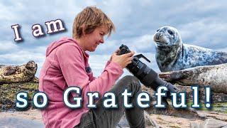 Photographing Seals on the Scottish Coast | eBook Journey Finale