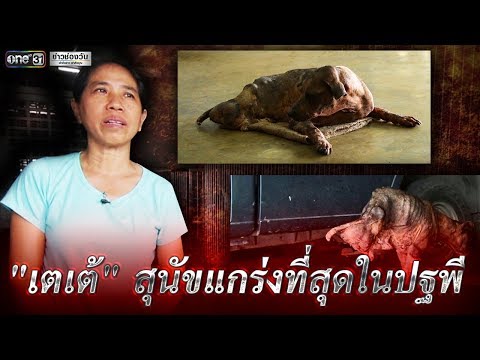 Japan Jav Porn #249652 (-YH_kXbLPao) Thumbnail