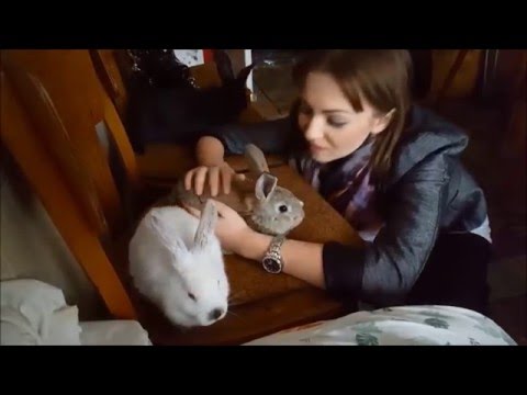 Zajačik Igor - veľmajstrovský šachový hráč :-)