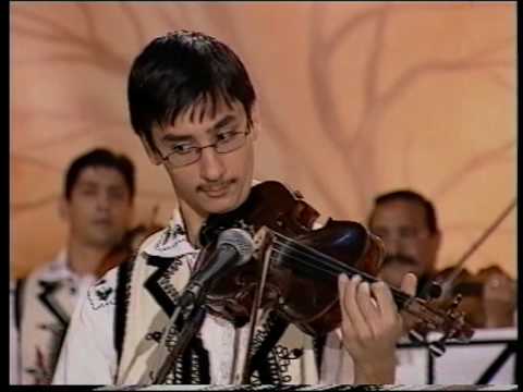 Albesteanu 2002 - Mihai Serban