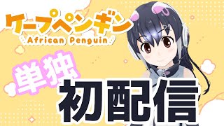 [Vtub] 黑腳企鵝今天也開播囉