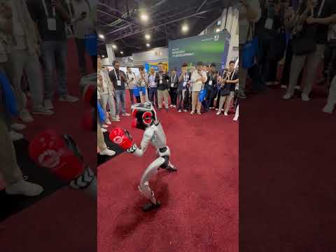 Unitree G1 Boxing Robot