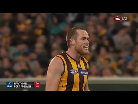 2014 2nd Preliminary Final - Hawthorn Vs  Port Adelaide (2nd Half)