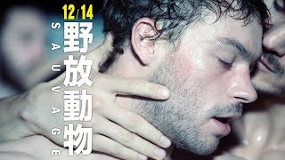 坎城影展未來之星大獎12/14《野放動物》官方預告