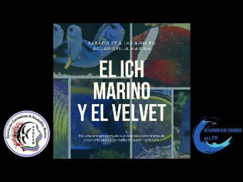 download lagu mp3 mp4 El Velvet, download lagu El Velvet gratis, unduh video klip El Velvet