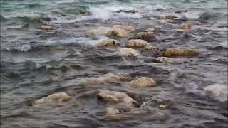 Sparklehorse - Waiting For Nothing