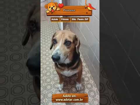 Vídeo de Princesa