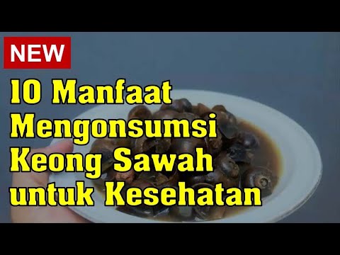 , title : '10 Manfaat Mengonsumsi Keong Sawah untuk Kesehatan'
