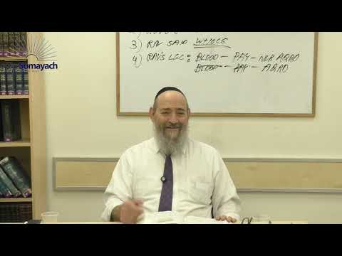 Eradicating Negative Effects - Shoftim (Rabbi Dovid Kaplan) (Weekly Parsha)