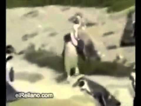 Freitag geil montag männo