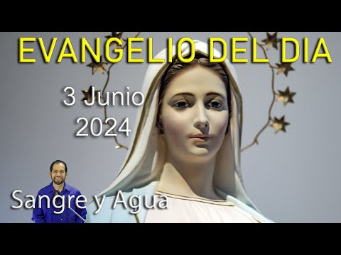 Evangelio Del Dia Hoy - Lunes 3 Junio 2024- Sangre y Agua