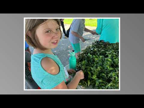 2022 NCCP Summer Camps