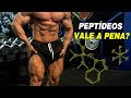 OS MELHORES PEPTÍDEOS PARA FICAR