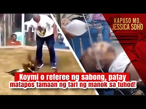 Koymi o referee ng sabong, patay matapos tamaan ng tari ng manok sa tuhod! | Kapuso Mo, Jessica Soho