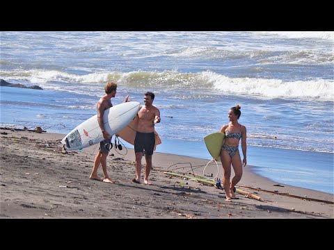Canggu Morning Surf Scene - Surfing Bali