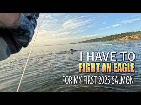 I have to fight an eagle for my first salmon of 2025!