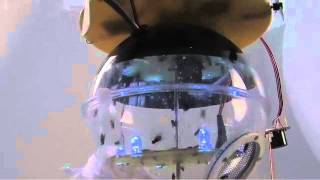 David Bowen -  Fly Blimps, Bio Art  2010