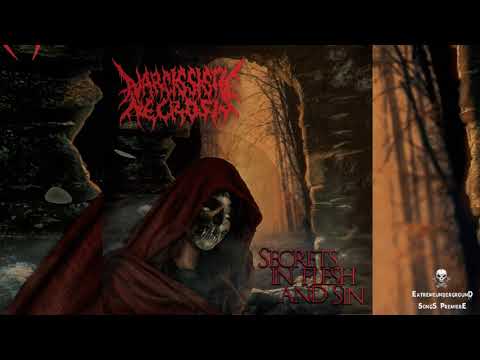 ➤ NARCISSISTIC NECROSIS - Secrets In Flesh and Sin-☠(TRACK PREMIERE 2021)☠