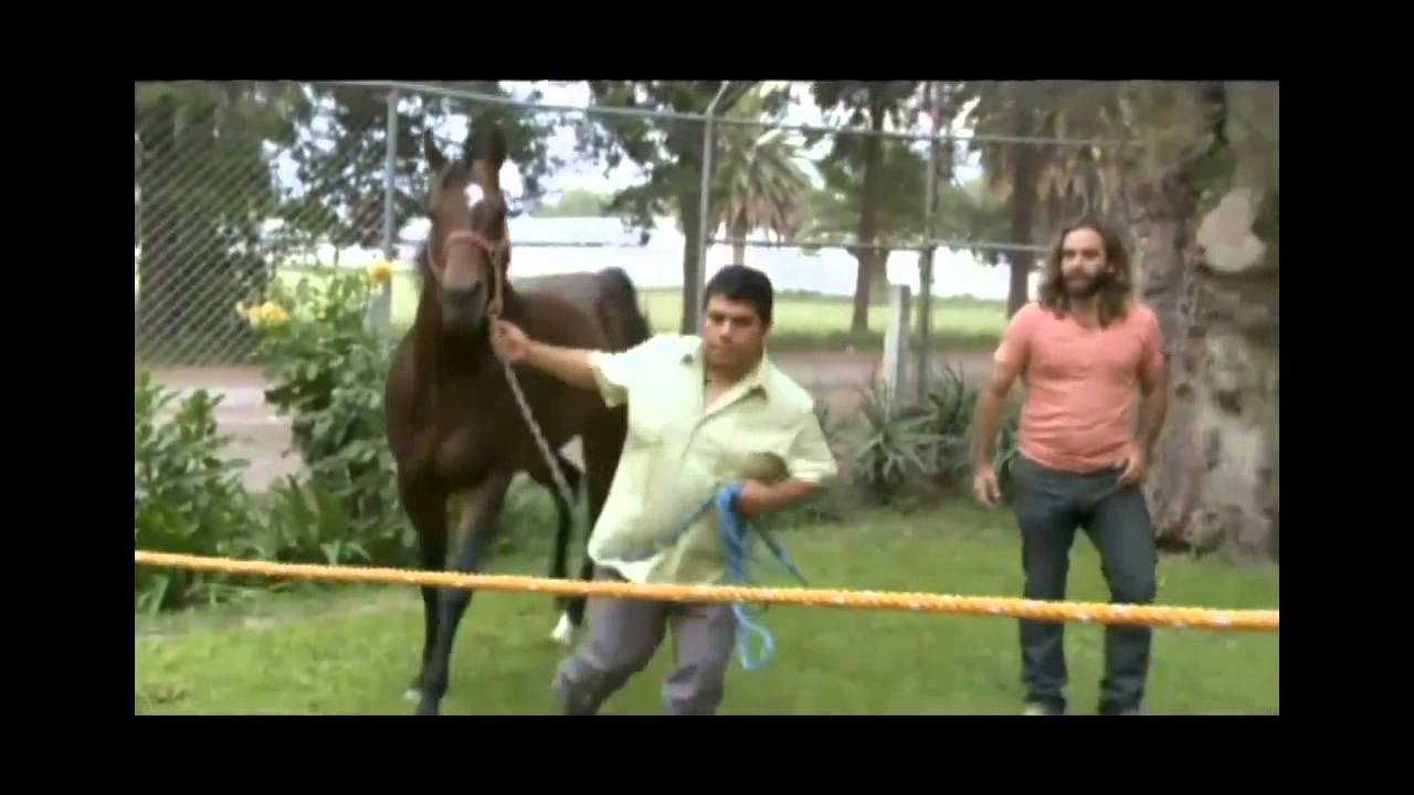 Domador De Caballos - Allens Cash