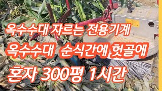 옥수수대 자르기 전용기계 관리기 부착형 예초기형 [옥수수재배방법]