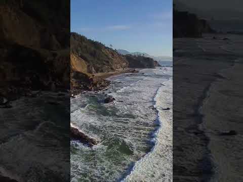 #beach #shortsvideo #youtube #shorts