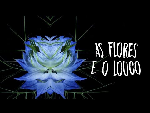 Video thumbnail for As Flores e o Louco