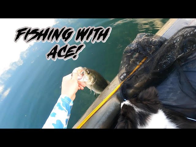 Judge.me YouTube video placeholder