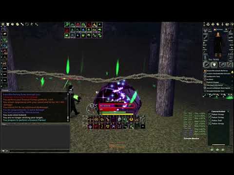 RR11 Warden vs RR11 SB+RR11 Hunter (DAoC)