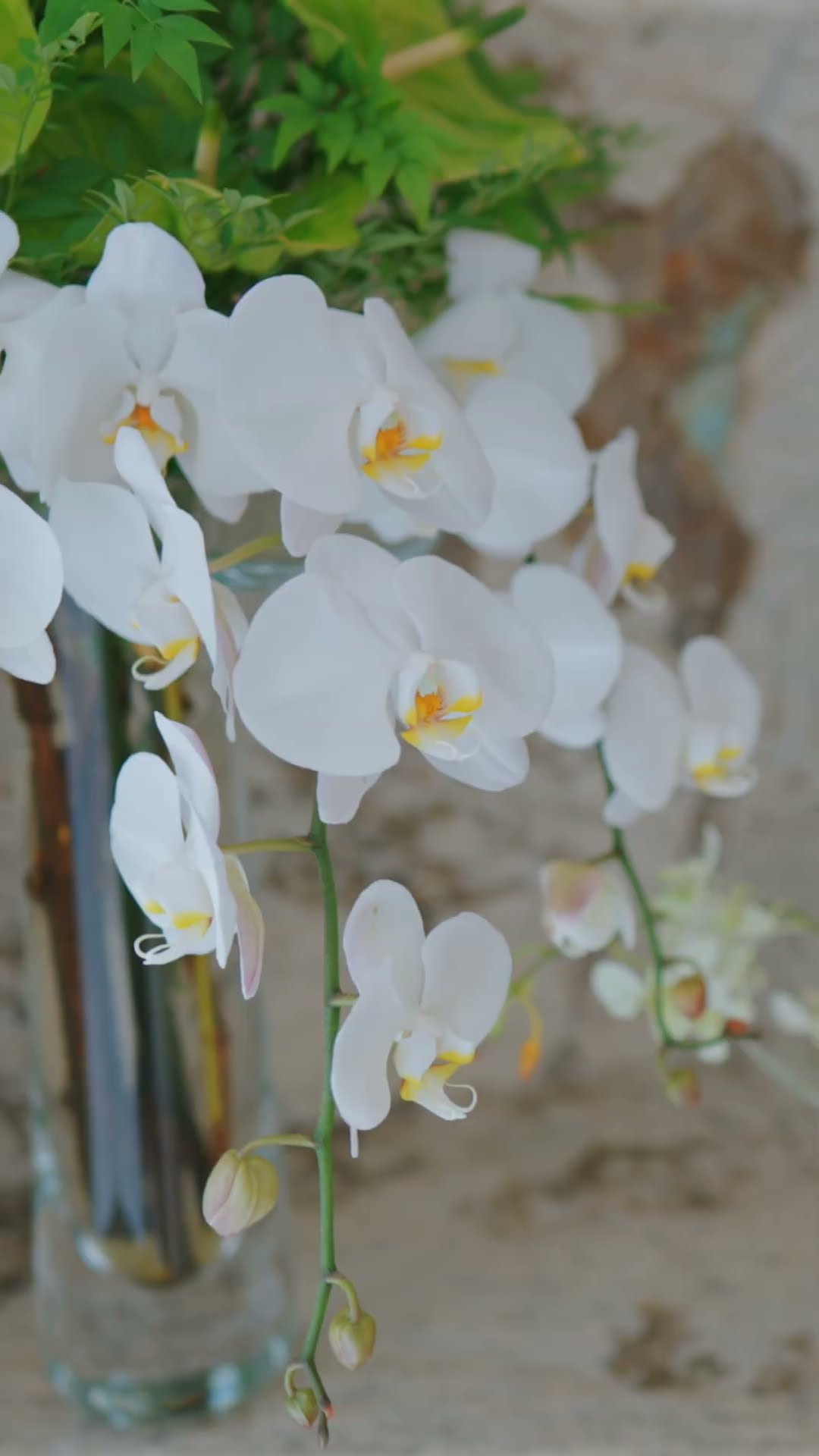 Vislumbre o decorado do Zen Cyrela & YOO | Apartamentos em SP #shorts