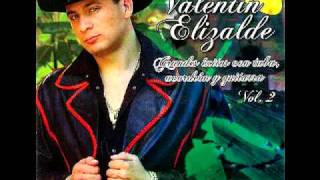 Clavel En Primavera (Con Tuba, Acordeon Y Guitarra) - Valentin Elizalde