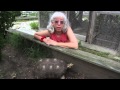 Turtle Singer Karen Buckley - YouTube
