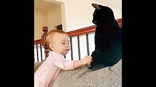 O BEBÊ FOI MEXER COM O GATO E APANHOU #shorts
