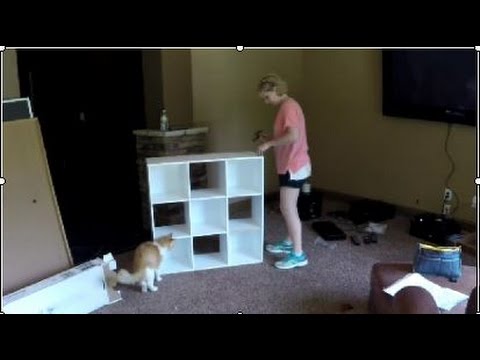 New Craft Room | Weighted Blanket Gift | Sheepishly Sharing #148