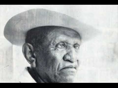 Cuando te fuiste del llano/El Carrao de Palmarito