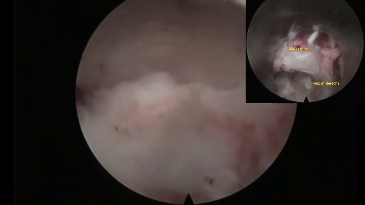 Edgar Martin Castañeda Guardia-8