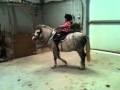 Ben And Harry Riding Barney
