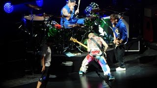 Red Hot Chili Peppers - Californication - Live @ Palau Sant Jordi