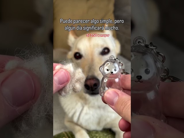 Vídeo relacionado con Llavero personalizado con niños y mascotas gato/perro en zamak con baño de plata y cuero | Grabado con nombre | Regalo original para padres, madres y amantes de los animales. (Llavero Triple)