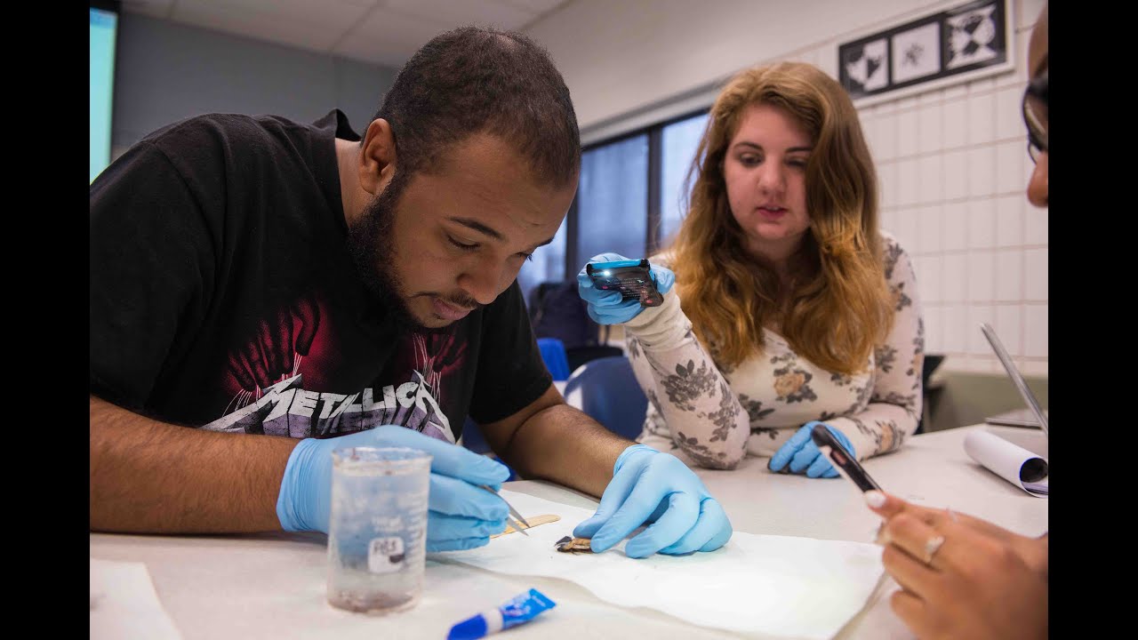 Students Learn to Control Insect Cyborgs