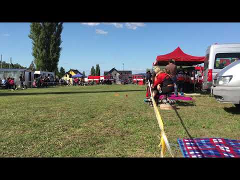 SDH Třebihošť - muži A 2.pokus - Valdice 14.9.2019