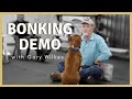 Training | Gary Wilkes Bonking Demo | Solid K9 Training Dog Training