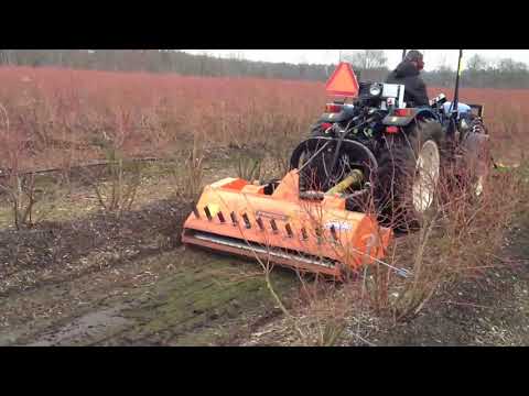 Driessen Blueberries BV - Klepelmaaier