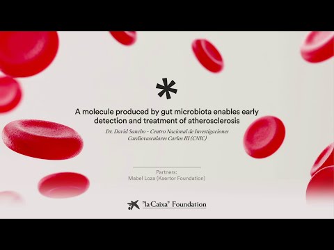 Early diagnosis of atherosclerorsis. David Sancho | CaixaResearch Health Call 2023