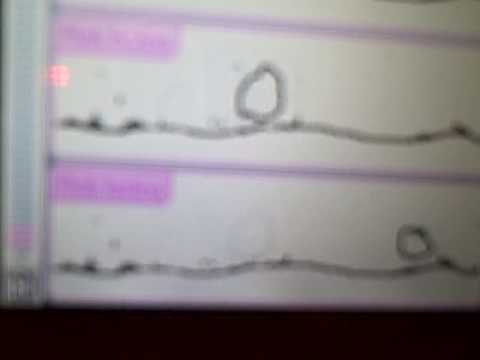 nintendo dsi flipnote