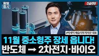 11월 중소형주 장세 옵니다! 반도체 → 2차전지·바이오ㅣ#박세익 체슬리투자자문 대표