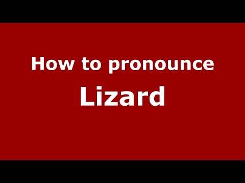 How to pronounce Lizard