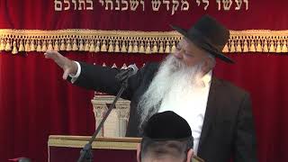 האם ממשלת שמאל טובה לישראל | קצרים | הרב דניאל זר
