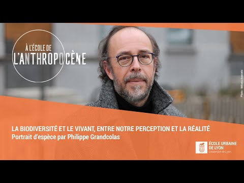 Vido de Philippe Grandcolas