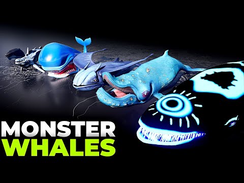 Animetric and Aestheticux