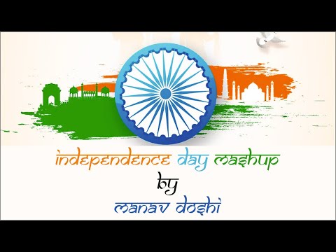 Multi Instrumentalist | Independence Day Mashup | Manav Doshi | Live Performance | Baddi